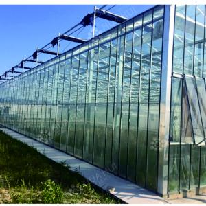 Glass Greenhouse